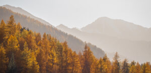 Pentes de Chantelouve à Bessans, en automne