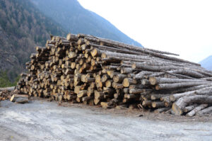 Des bois coupés dans les forêts de Haute Maurienne Vanoise stockés à la STEP