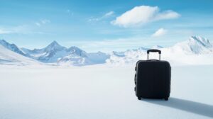 Une valise de voyageur posée devant un paysage de montagne